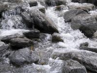 Albums/20060200-New Zealand 2006/20060208-Fox_and_FJ_Glaciers/33